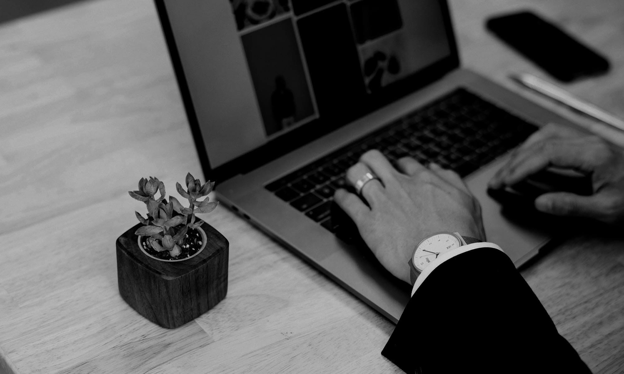 Home-Office Web Developer — Cowichan Valley Home-office web developer working on a laptop beside a small desk plant, focused on fast WordPress/Divi site builds for local small businesses in the Cowichan Valley.